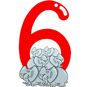 5-6